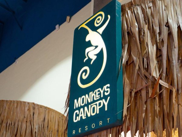 MONKEYS CANOPY MALAYSIA - Destinations