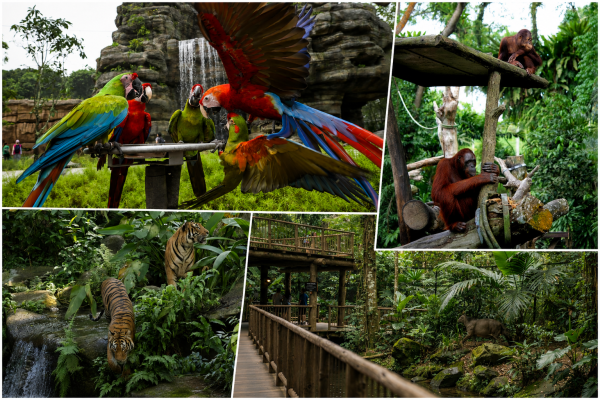Singapore  2 Nights - Stays