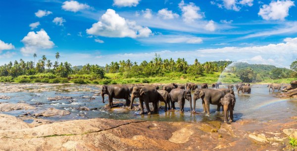 Sri Lanka 4Nights - Destinations
