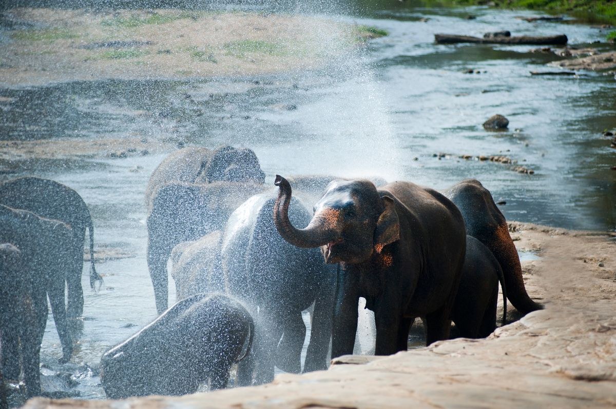 Sri Lanka 3 Nights